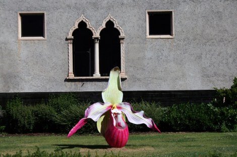 La creazione The chromatic archaeology of desire nel giardino di Castelvecchio quinn_6