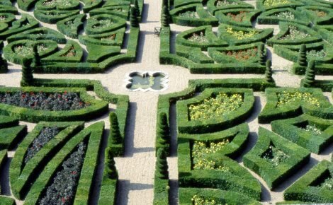 Le aiuole a scomparti simmetrici chiusi da spalliere di bosso villandry_5