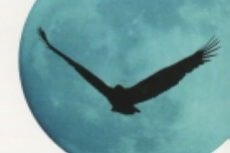 cover_memoria_vuoto_ante