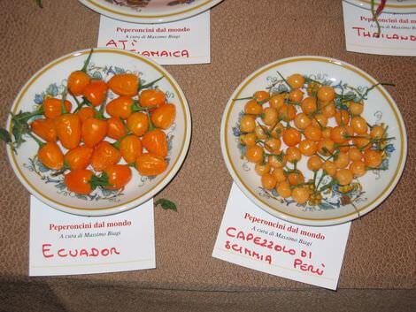 montecatini_peperoncini