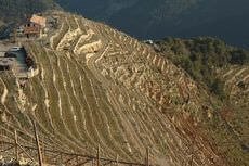 magliani_liguria_ante