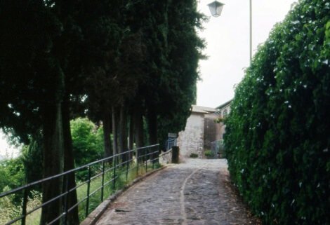 Il viottolo che conduce alla “bicocca” di Castelvecchio pascoli_01