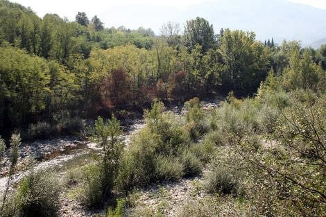 Un tratto del Serchio in secca al ponte di Campia pascoli_13