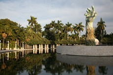 miami_ante