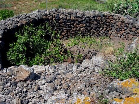 Giardino pantesco pantelleria_14
