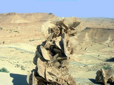 Rose del deserto ai margini del Sahara tunisino tunisia_12