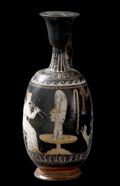 histrionica_acrobata