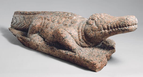 fauna_egitto_coccodrillo