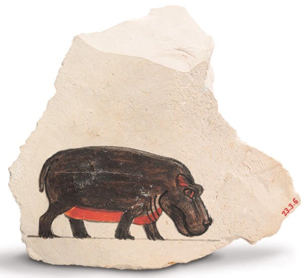 fauna_egitto_ippopotamo