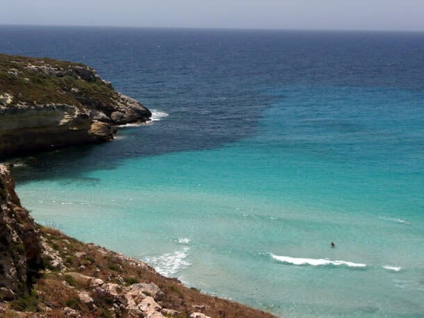 Lampedusa_isola_conigli