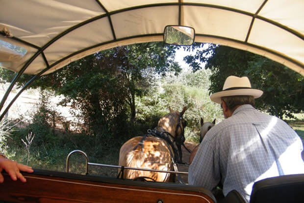 Maremma_carrozza