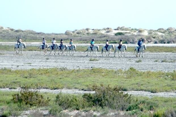 Camargue_13