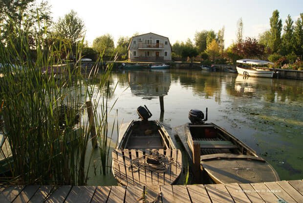 _Massimiliano_Di_Pasquale_12