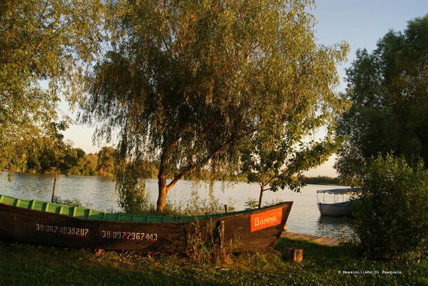 _Massimiliano_Di_Pasquale_13