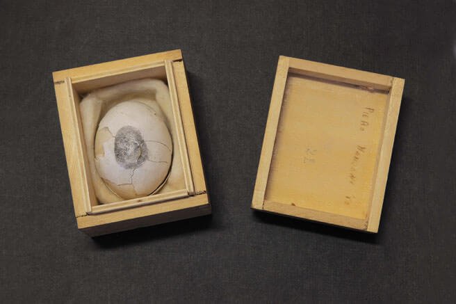 MANZONI ID 172. Uovo scultura n. 21 1960_1