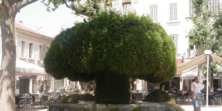 La Fontana muschiosa di Salon de Provence