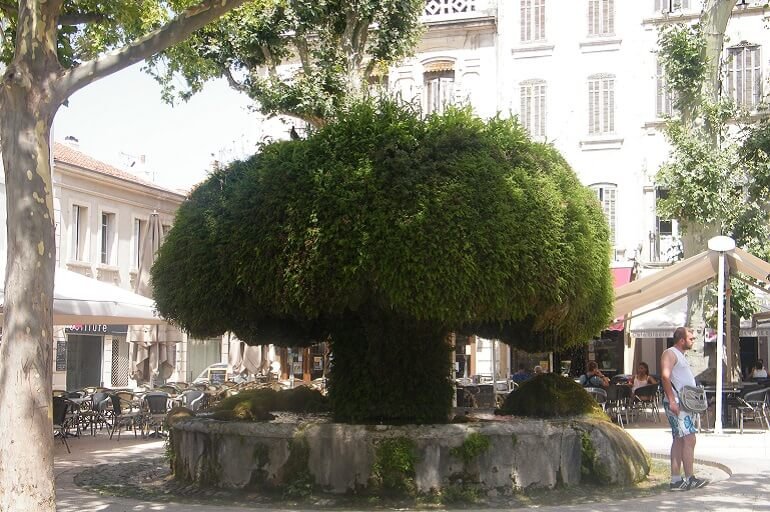 una piazza di Salon de Provence