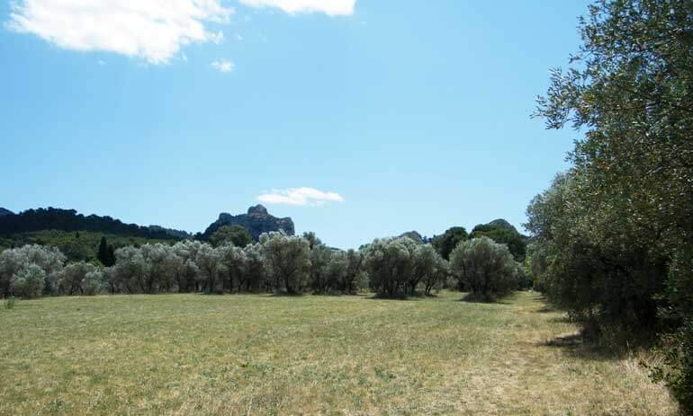un paesaggio vangoghiano