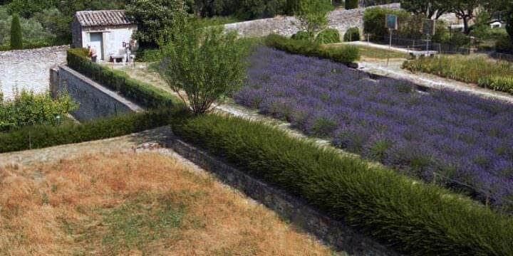 Vista dalla finestra di Van Gogh