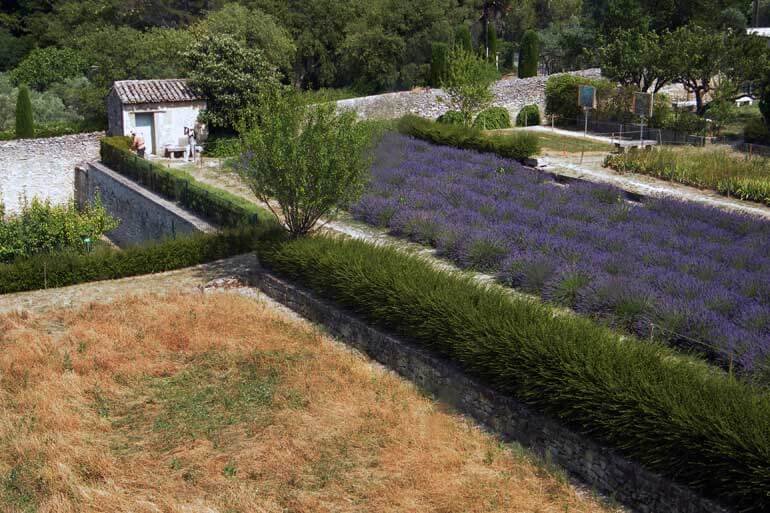 Vista dalla finestra di Van Gogh