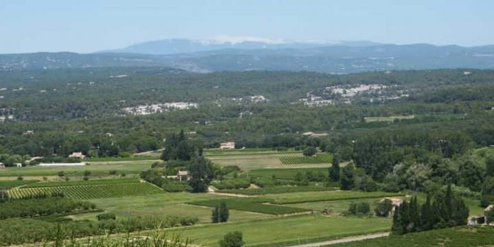 Il Monte Ventoso dalla terrazza del Café du Progrès