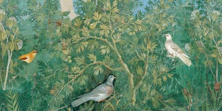 Uccelli dipinti nell'affresco della Casa del Bracciale d'oro di Pompei