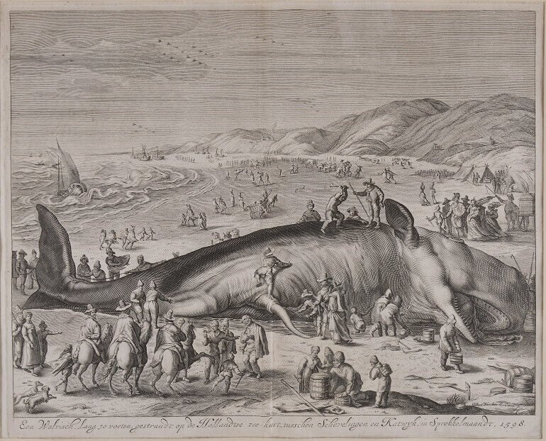 Una stampa di balene