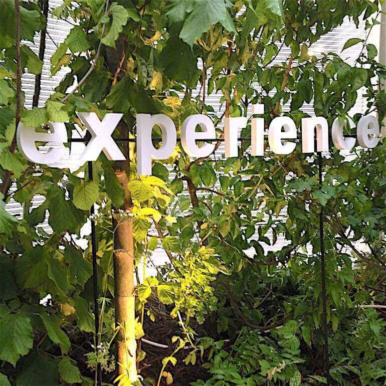 Experience è uno degli inviti del Bosco Culturale Itinerante dell'Austria