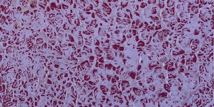 Ametista di Chiara Maresca