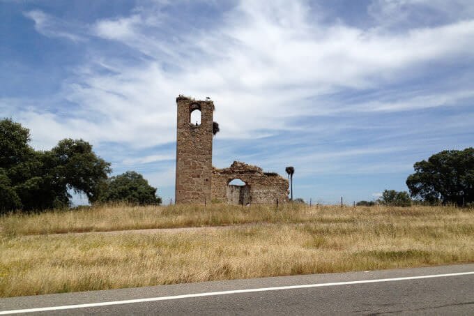 alcune cicogne fanno il nido in una chiesetta abbandonata in Spagna