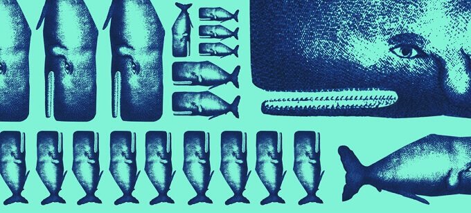 locandina dello spettacolo "Io, Moby Dick" al Teatro Litta MTM di Milano