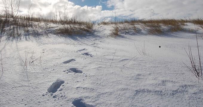 Una spiaggia della Pomerania