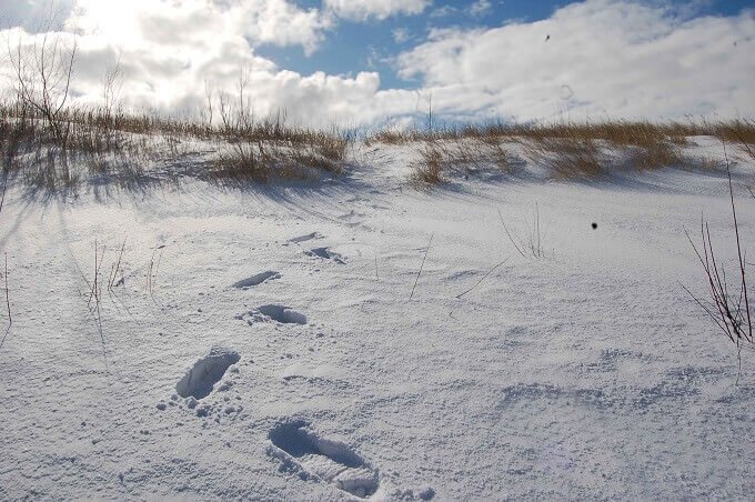 Una spiaggia della Pomerania