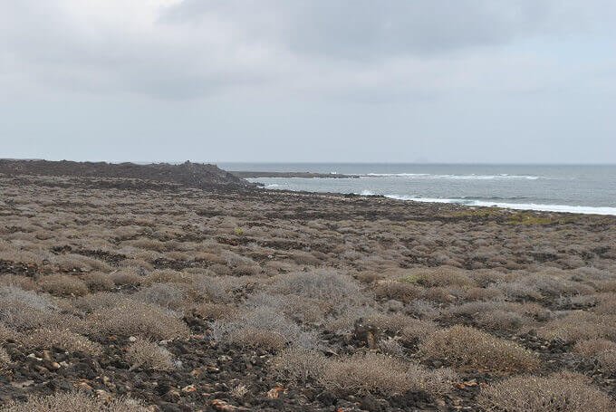 Lanzarote ha ospitato l'edizione 2017 di Ironman