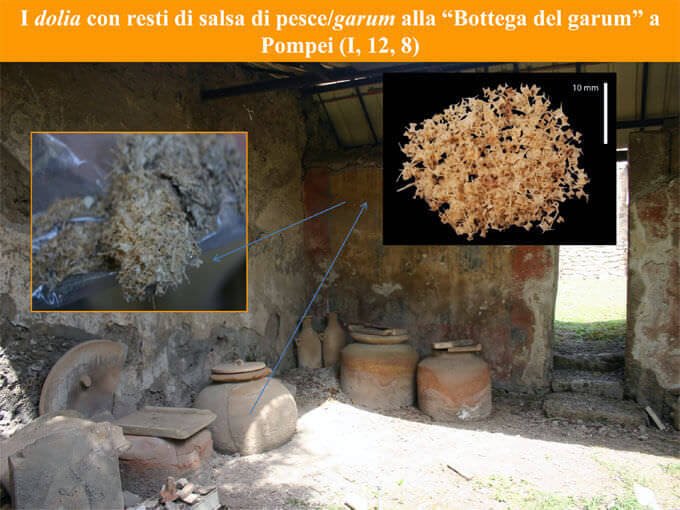 La Bottega del Garum a Pompei