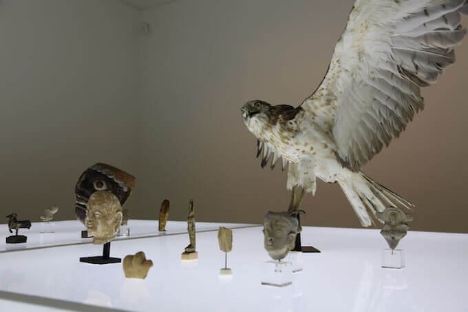 Ali Cherri, Fragments II (2016)