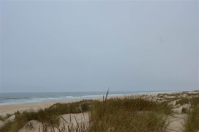 La spiaggia e le dune consolidate dall'Ammofila nella riserva naturale di Sao Jacinto ad Aveiro, in Portogallo