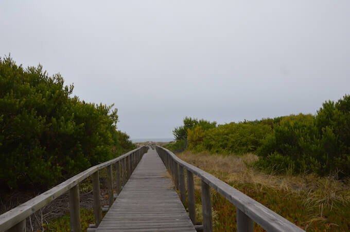 La passerella attraverso le dune e verso la spiaggia della riserva naturale di São Jacinto ad Aveiro, in Portogallo