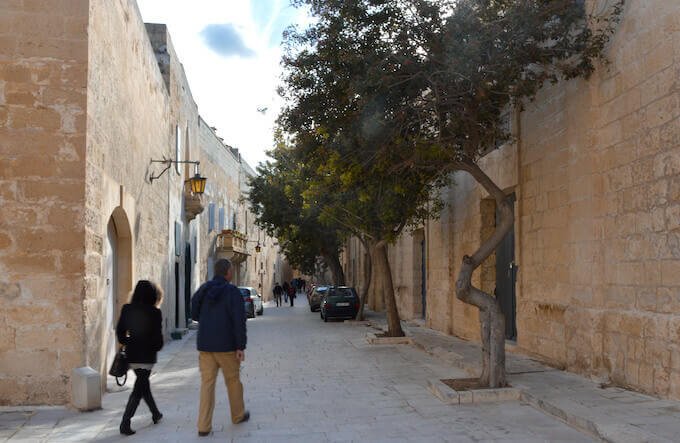 Un filare di alberelli in un vicolo di Rabat, sull'isola di Malta