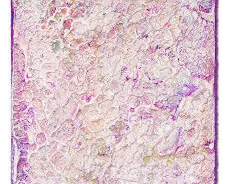 Chiara Maresca, "La malva veste di rosa le Saline di Atacama"