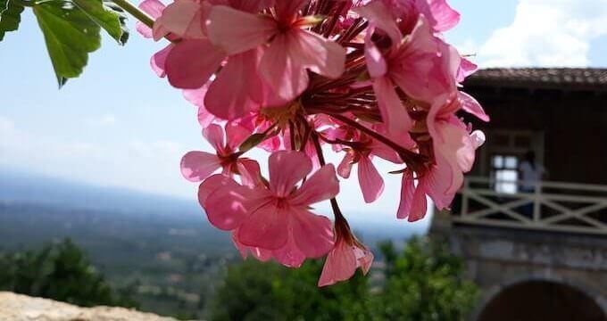 Mistrà nel Peloponneso: un piccolo paradiso