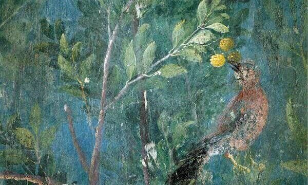 Affresco del ninfeo sotterraneo della villa di Livia, particolare con albero da frutto. 40-20 a.C. Roma, Prima Porta ©Leemage/UIG/Getty Images