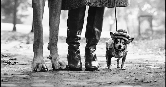 Elliott Erwitt, New York City, USA, 1974 © Elliott Erwitt