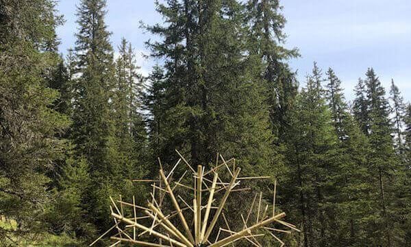 Alessandro Ferri (Dado), Lettera O il suono sordo del tarassaco