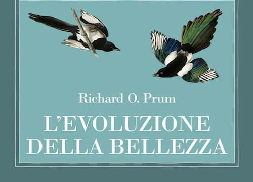 Richard O. Prum, L'evoluzione della bellezza, Adelphi