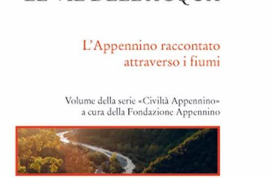 Le vie dell'acqua, Donzelli