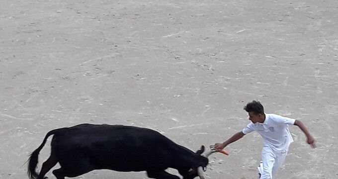 Un momento di una corrida nell'arena di Arles