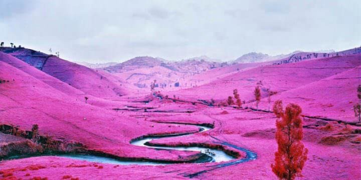 Richard Mosse, Platon, eastern Democratic Republic of Congo, 2012, serie Infra, Collection Jack Shainman