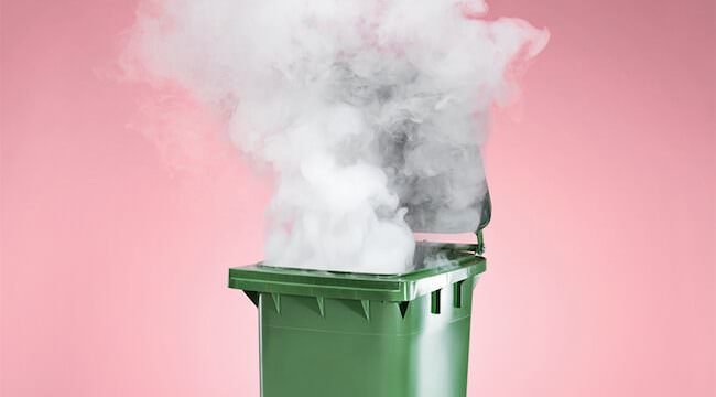 Hiroko Oyamada, La fabbrica, Neri Pozza