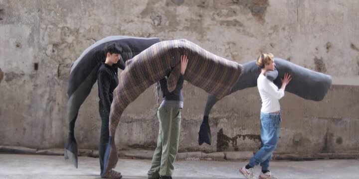 Claudia Losi, Les Funérailles de la Baleine, Fondo Bruno, Cossila San Giovanni (Biella), 2010